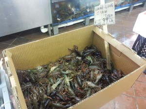 sea breeze fish market