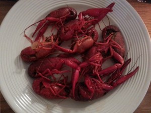 crawfish