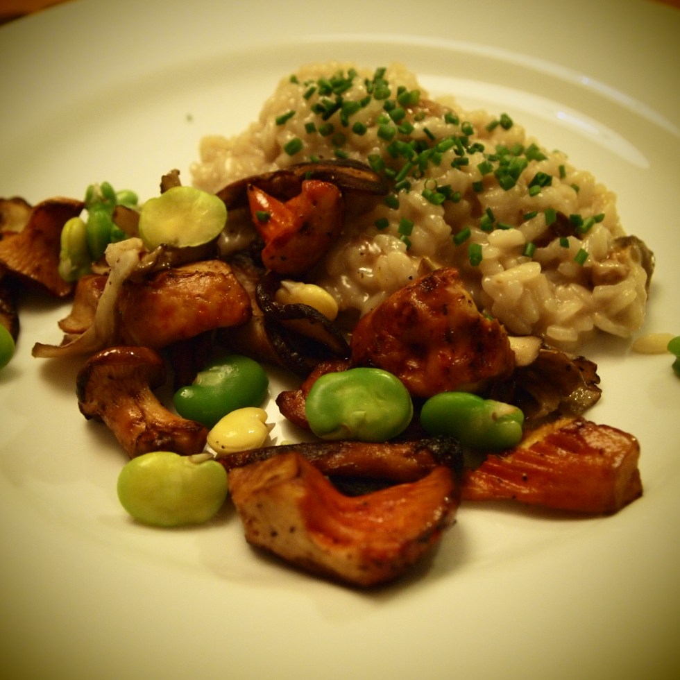 mushroom risotto with fava beans