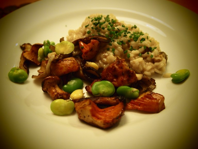mushroom risotto with fava beans