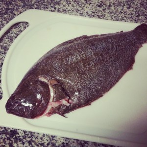 Fluke Sea Breeze Fish Market